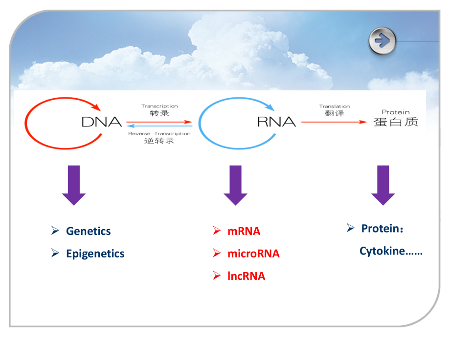 ncRNA与肿瘤-博导论坛--德伟.ppt_第2页