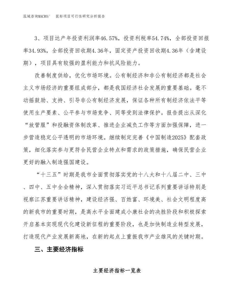 项目公示_鼠标项目可行性研究分析报告.docx_第5页