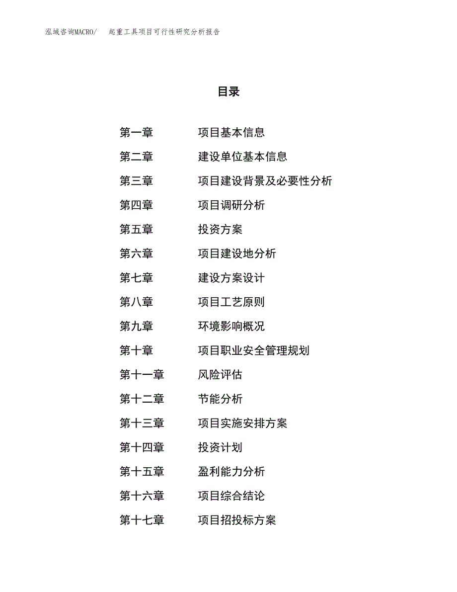 项目公示_起重工具项目可行性研究分析报告.docx_第1页