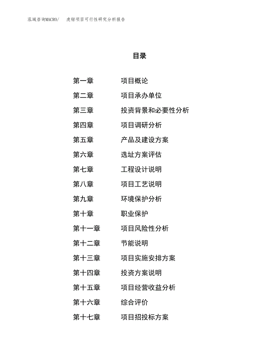 项目公示_虎钳项目可行性研究分析报告.docx_第1页