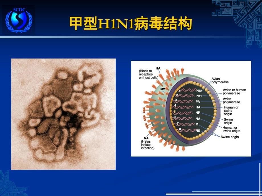 救灾防病工作规范培训-上海奉贤教育_第5页