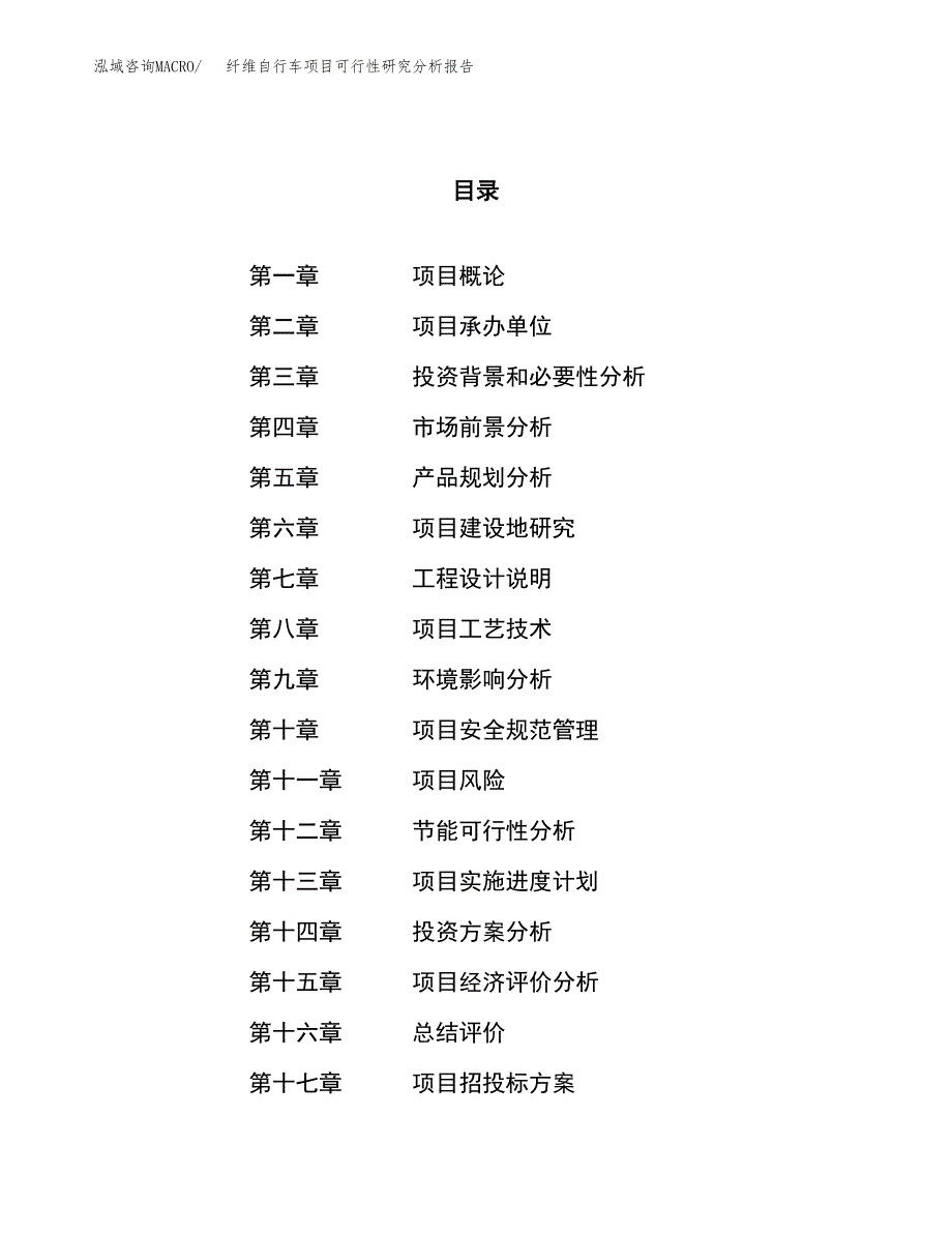 项目公示_纤维自行车项目可行性研究分析报告.docx_第1页