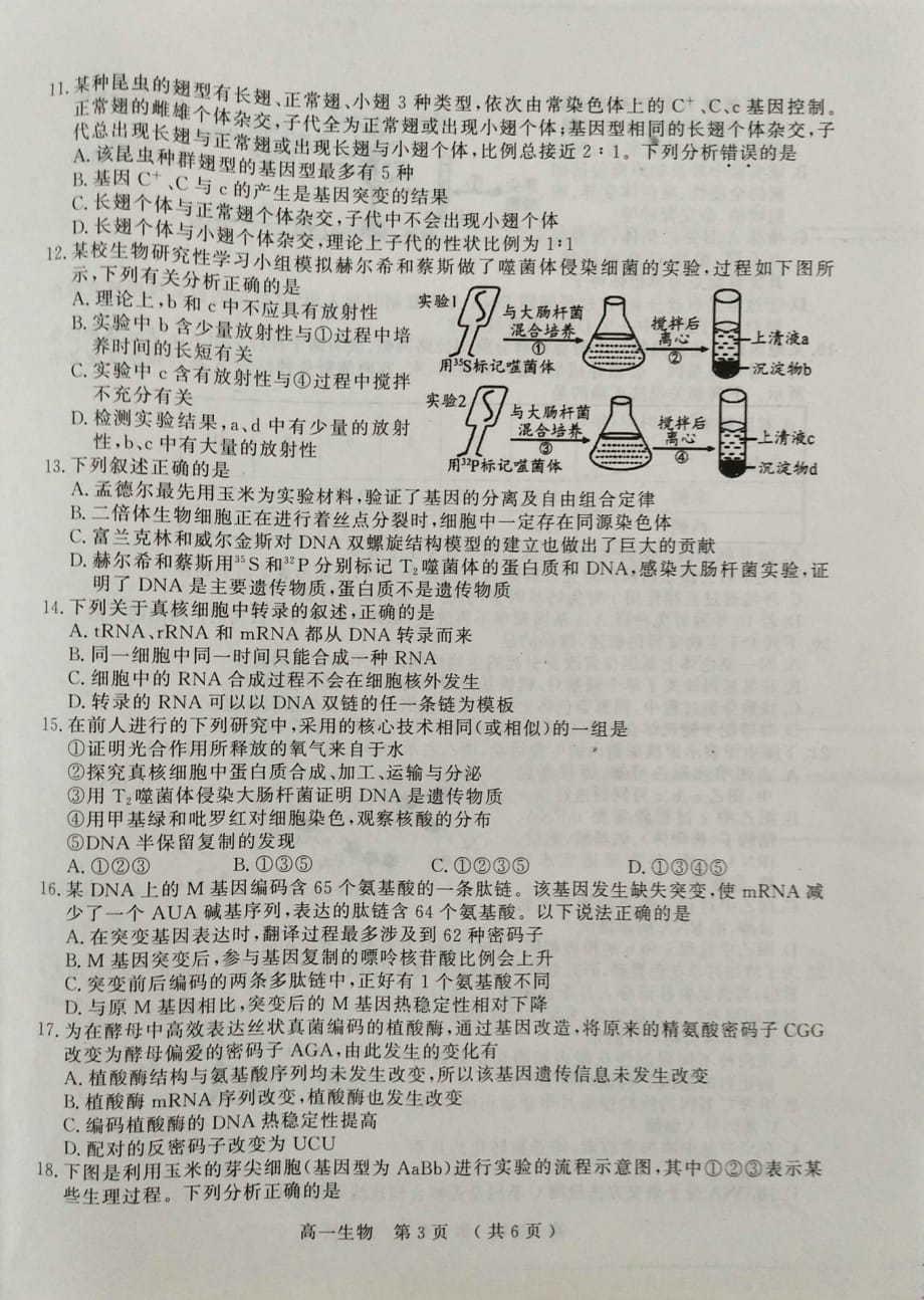 河南省驻马店市2018-2019学年高一下学期期末考试生物试题 PDF版含答案_第3页