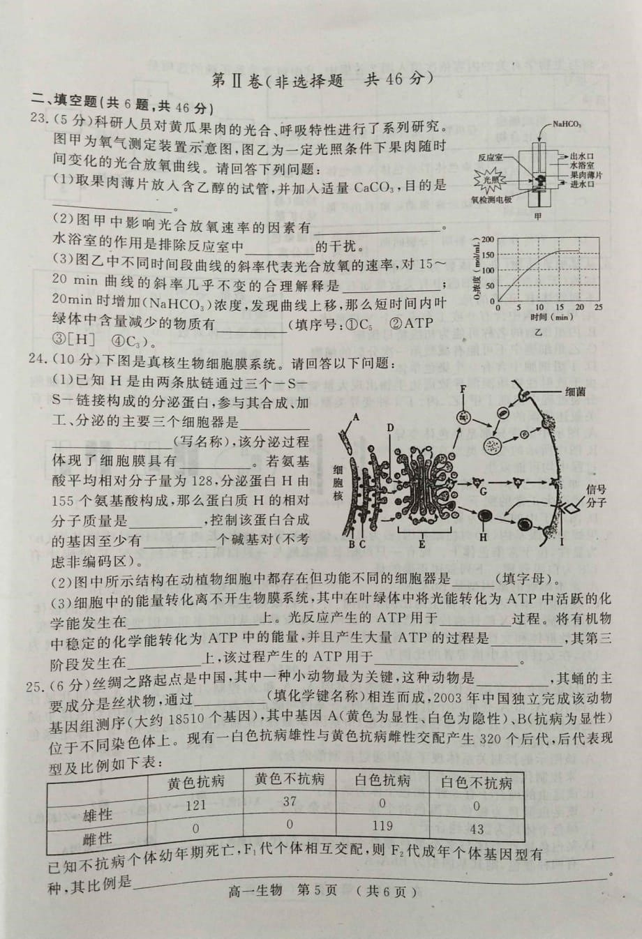 河南省驻马店市2018-2019学年高一下学期期末考试生物试题 PDF版含答案_第5页