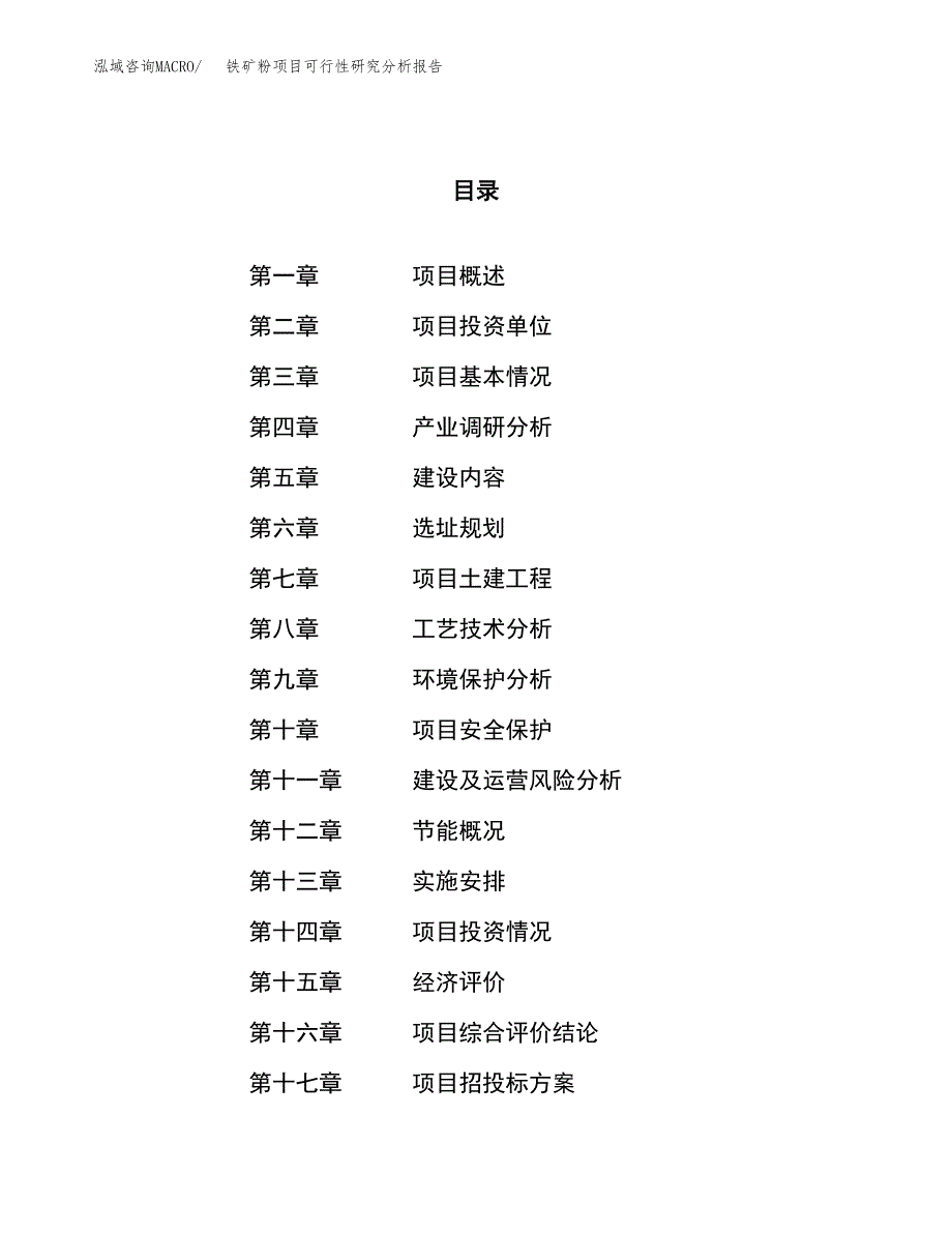 项目公示_铁矿粉项目可行性研究分析报告.docx_第1页