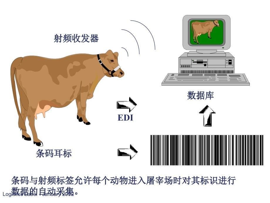 条码自动识别技术及设备培训教材_第5页