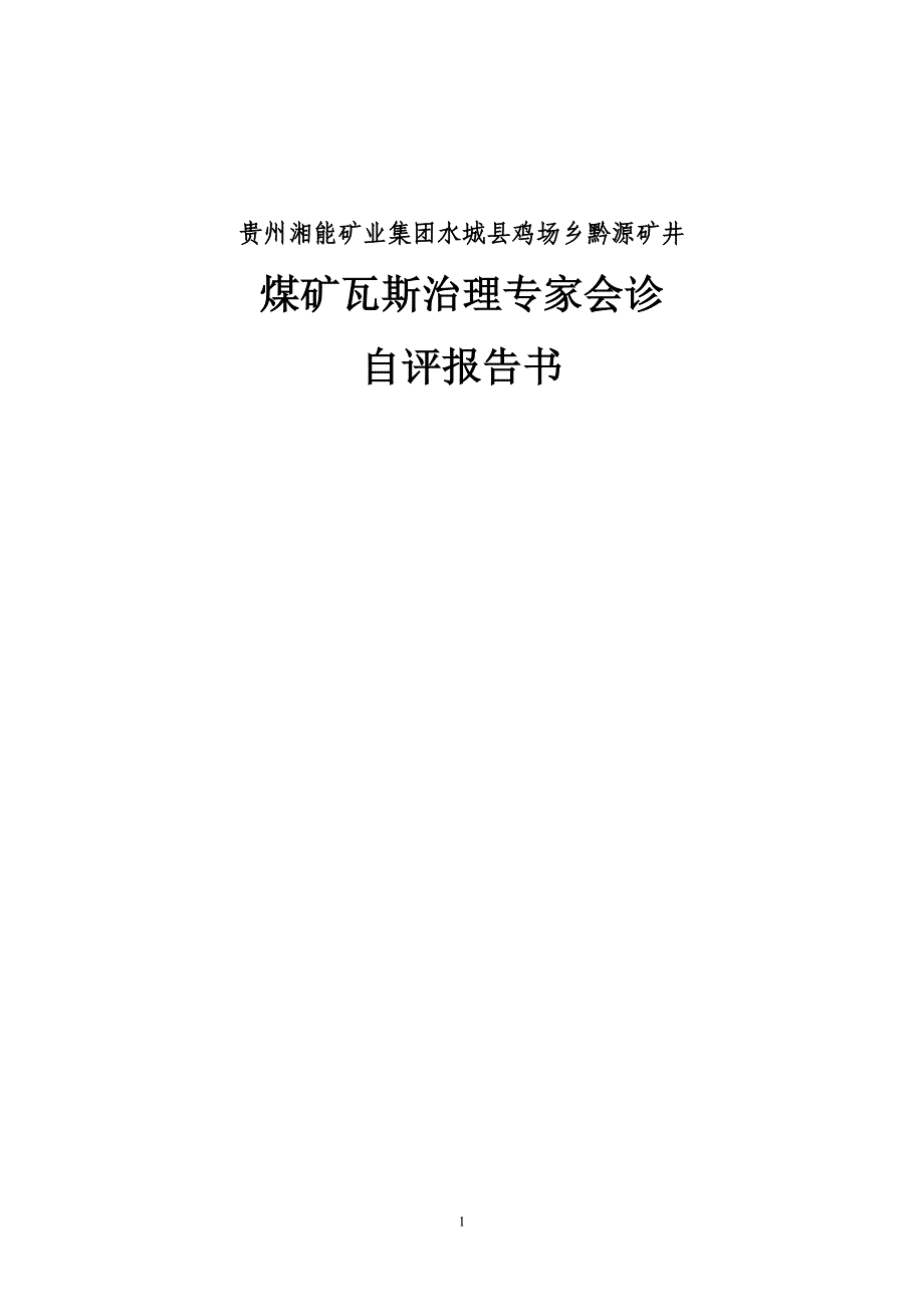 煤矿瓦斯治理专家会诊自评报告形式_第1页