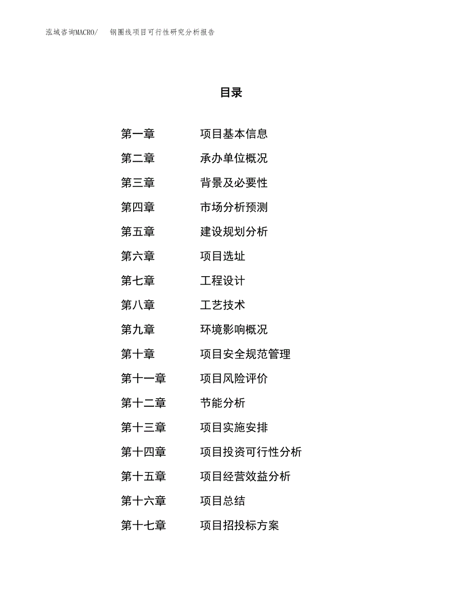 项目公示_钢圈线项目可行性研究分析报告.docx_第1页