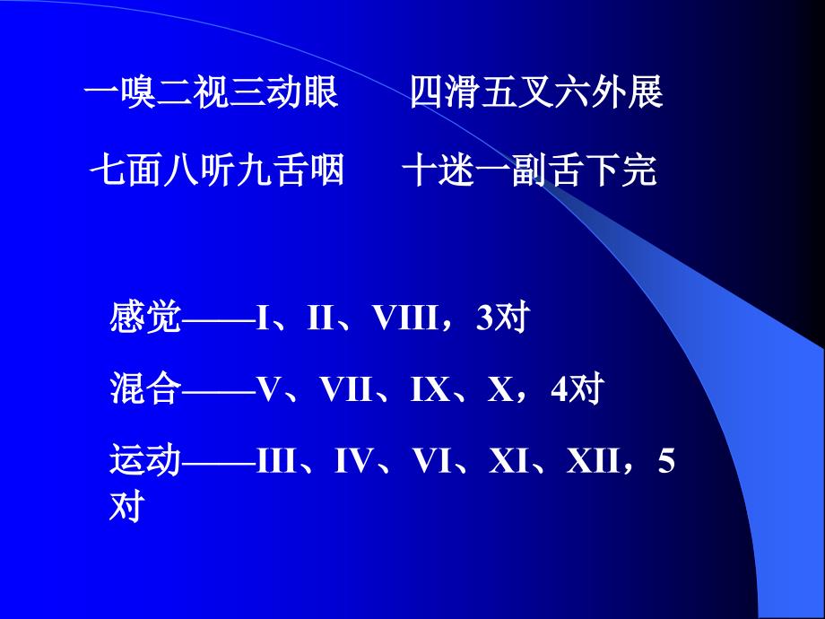 临床专业-脑神经_第4页