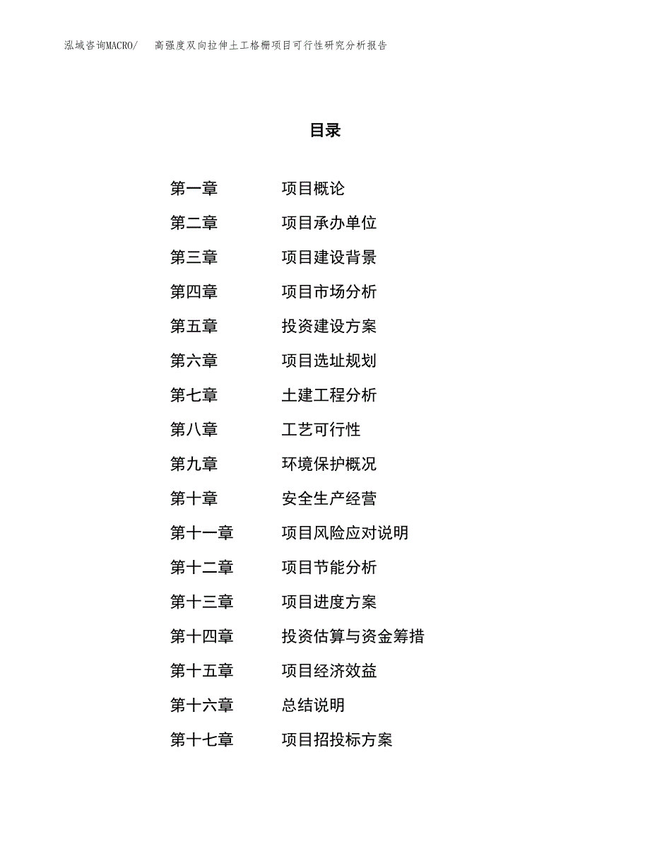 项目公示_高强度双向拉伸土工格栅项目可行性研究分析报告.docx_第1页