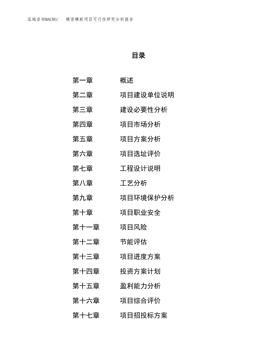 项目公示_精密模板项目可行性研究分析报告.docx_第1页