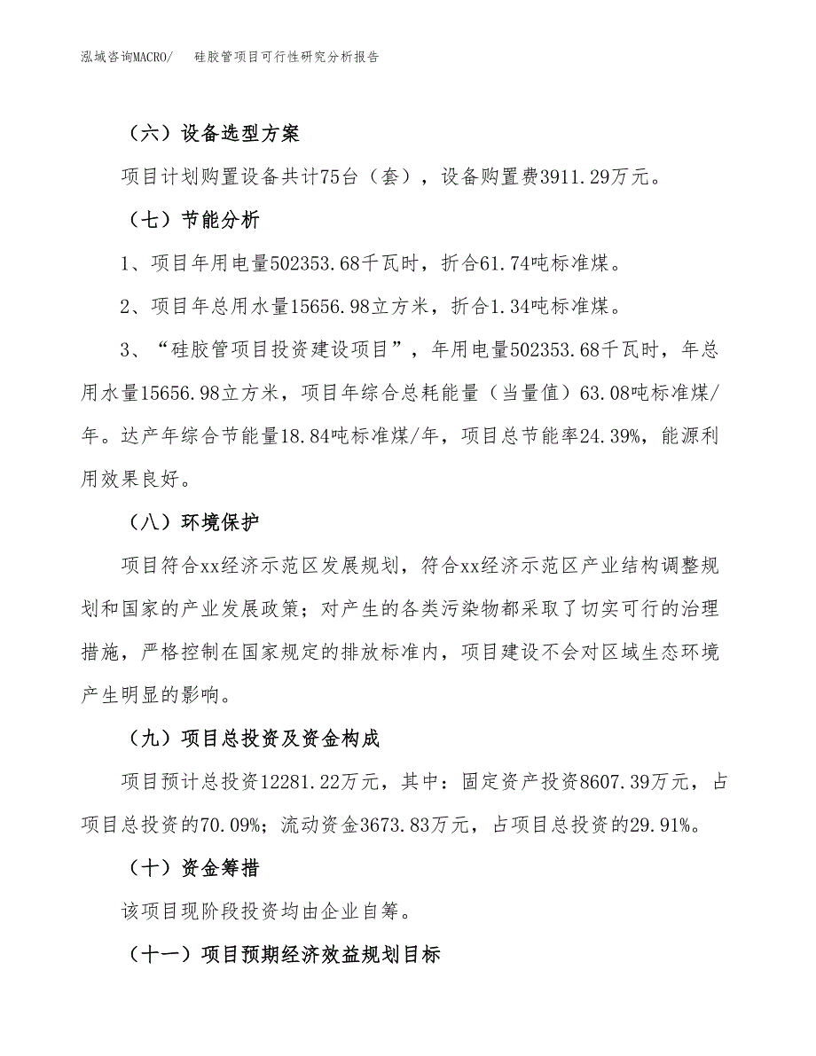 项目公示_硅胶管项目可行性研究分析报告.docx_第3页