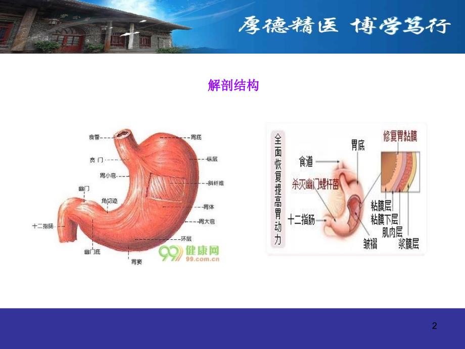 普外1胃癌患者护理查房孙娟_第2页