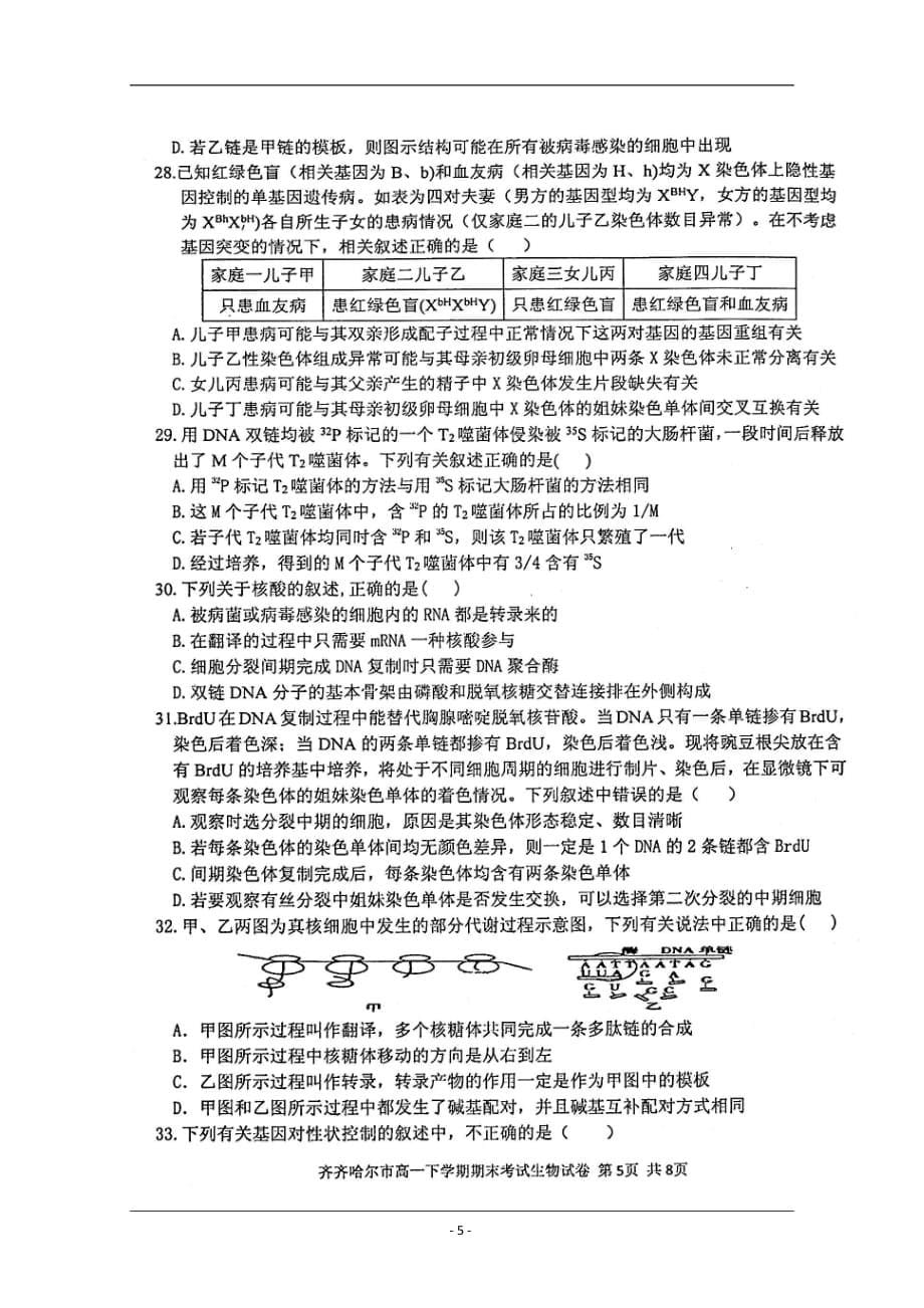 黑龙江齐齐哈尔市2018-2019学年高一下学期期末考试生物试题 含答案_第5页