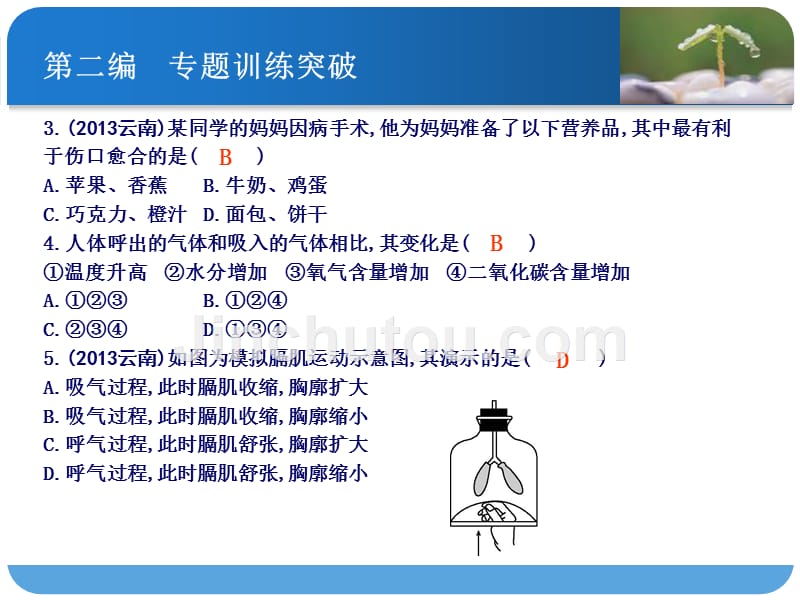 课案1-消化、呼吸、循环、泌尿_第3页