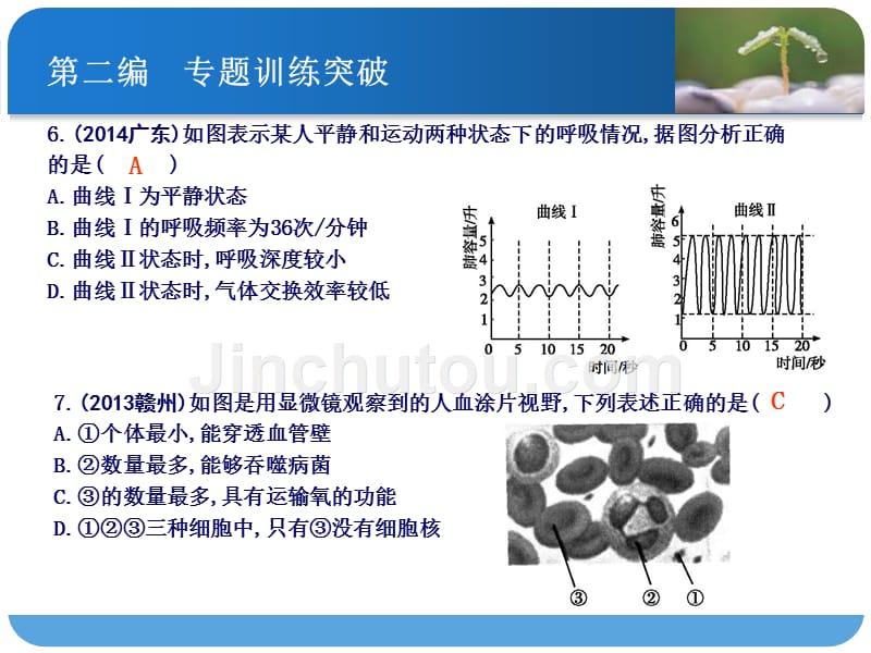 课案1-消化、呼吸、循环、泌尿_第4页