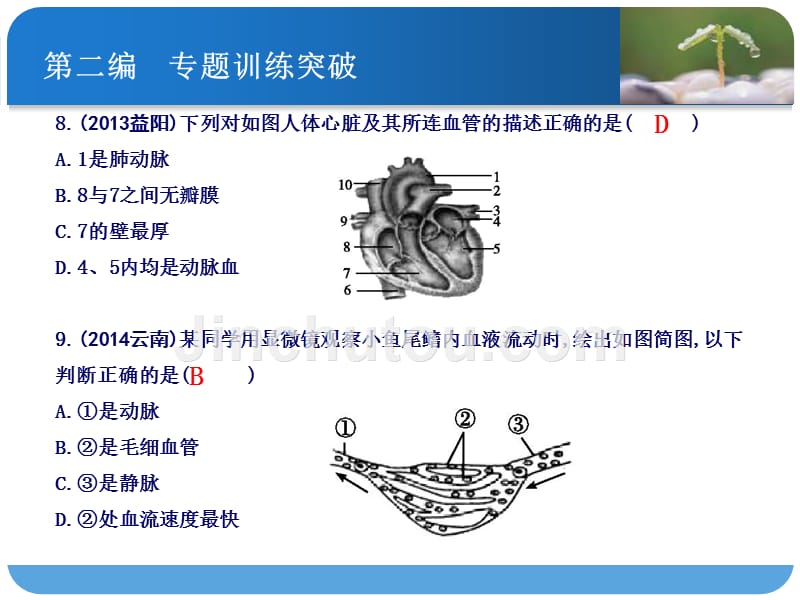 课案1-消化、呼吸、循环、泌尿_第5页