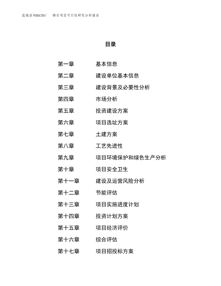 项目公示_铸石项目可行性研究分析报告.docx_第1页