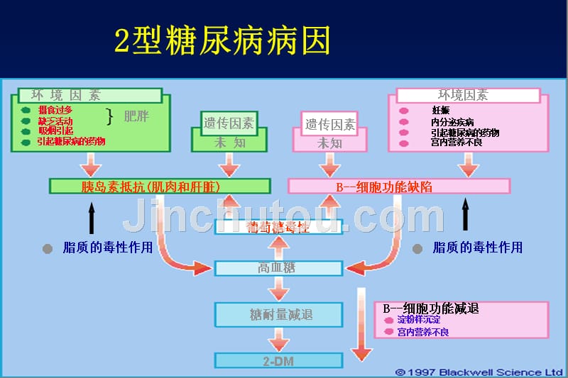 口服降糖药物作用机制及临床应用_第3页