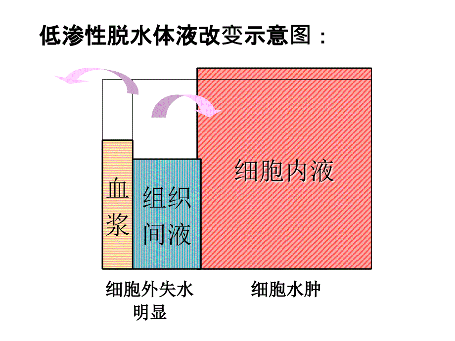 正常人体体液分布图_第3页