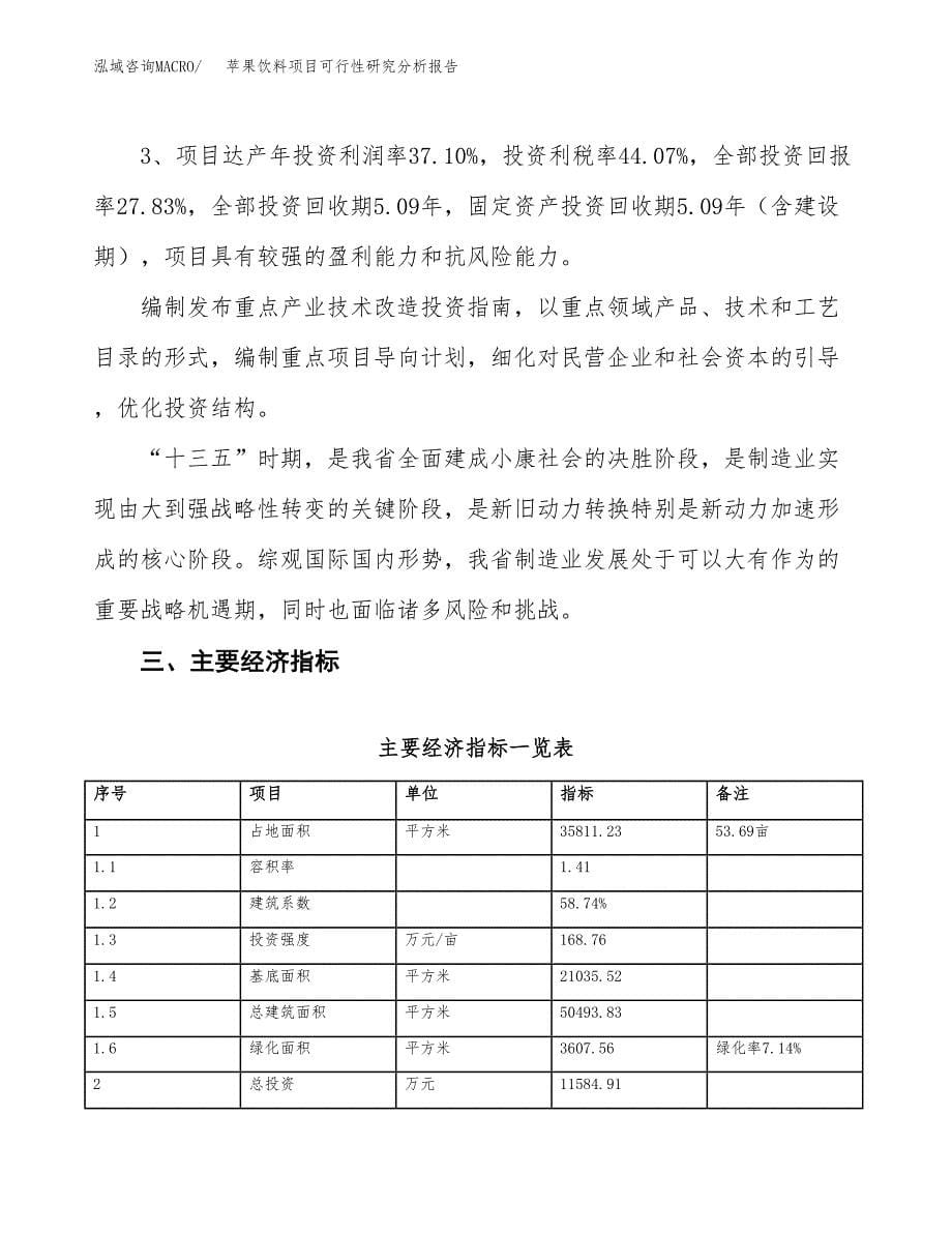 项目公示_苹果饮料项目可行性研究分析报告.docx_第5页