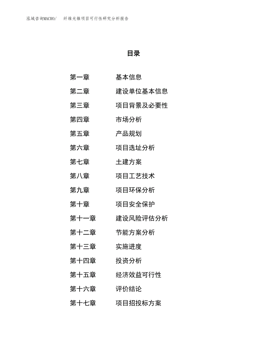 项目公示_纤维光锥项目可行性研究分析报告.docx_第1页