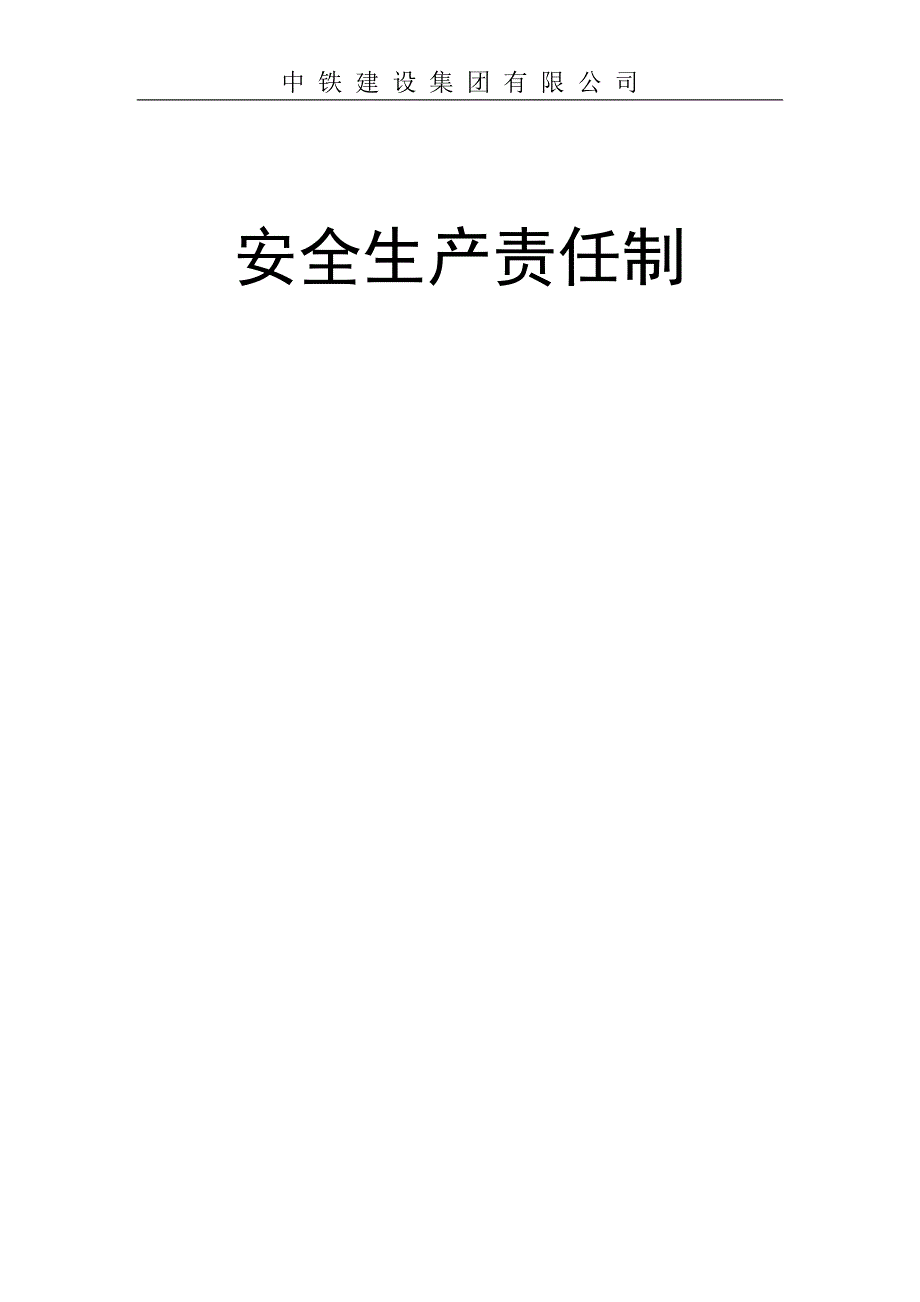 某公司安全生产责任制汇编12_第1页