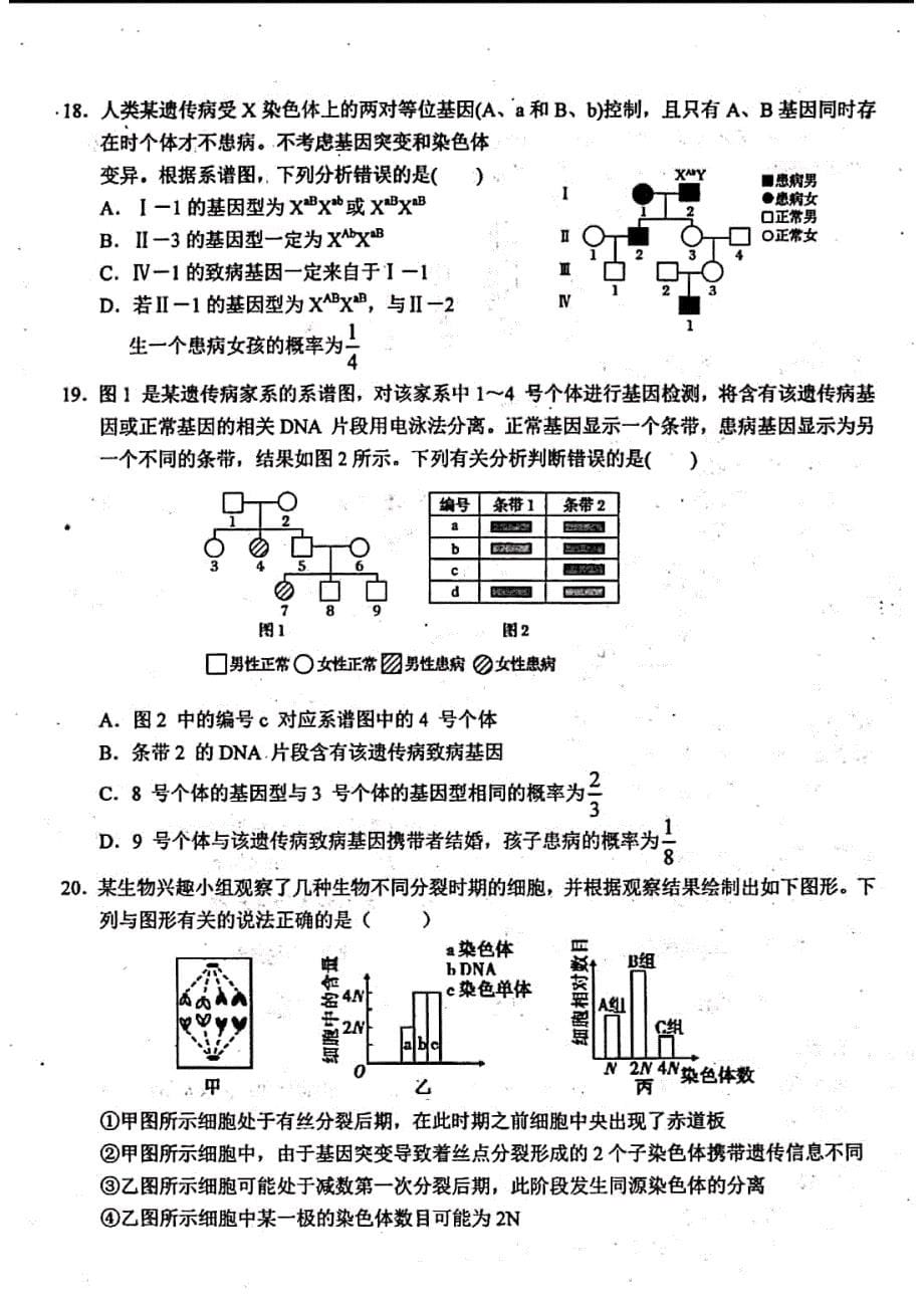 安徽省2018-2019学年高一下学期期末考试生物试题 PDF版含答案_第5页