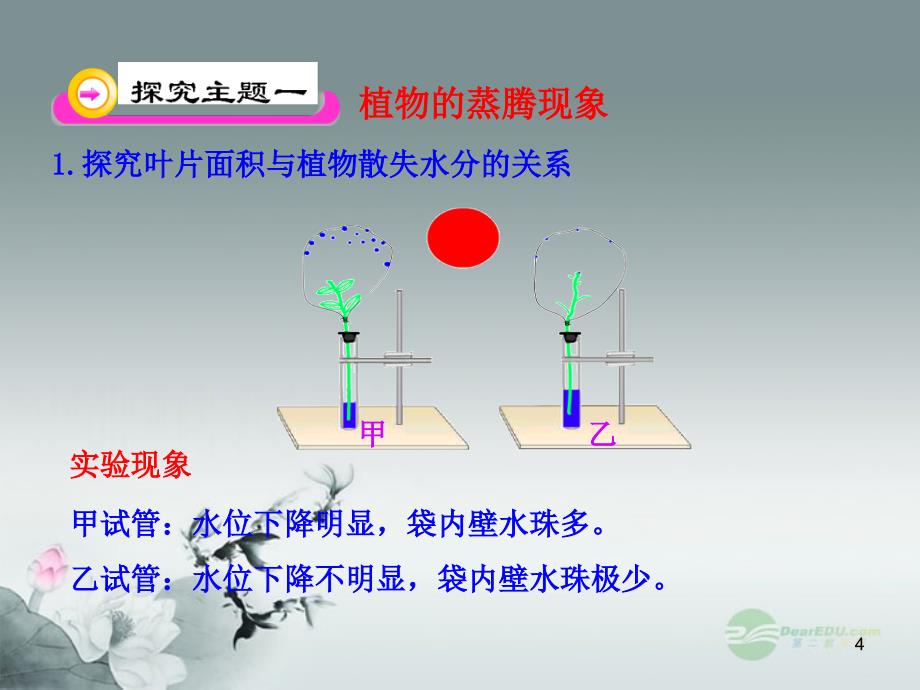 七年级生物第一章第二节绿色植物的蒸腾作用课件济南版_第4页