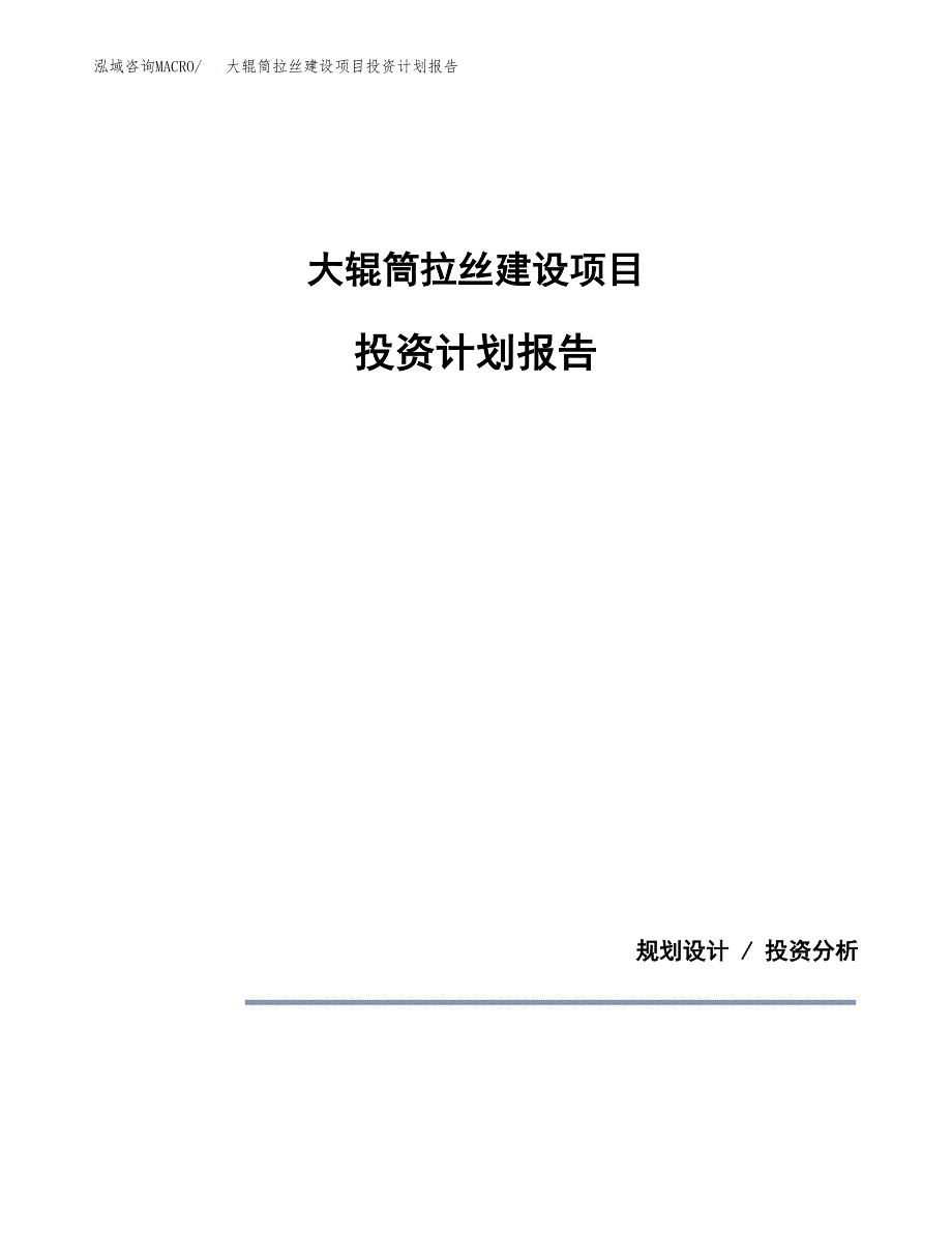 大辊筒拉丝建设项目投资计划报告.docx_第1页