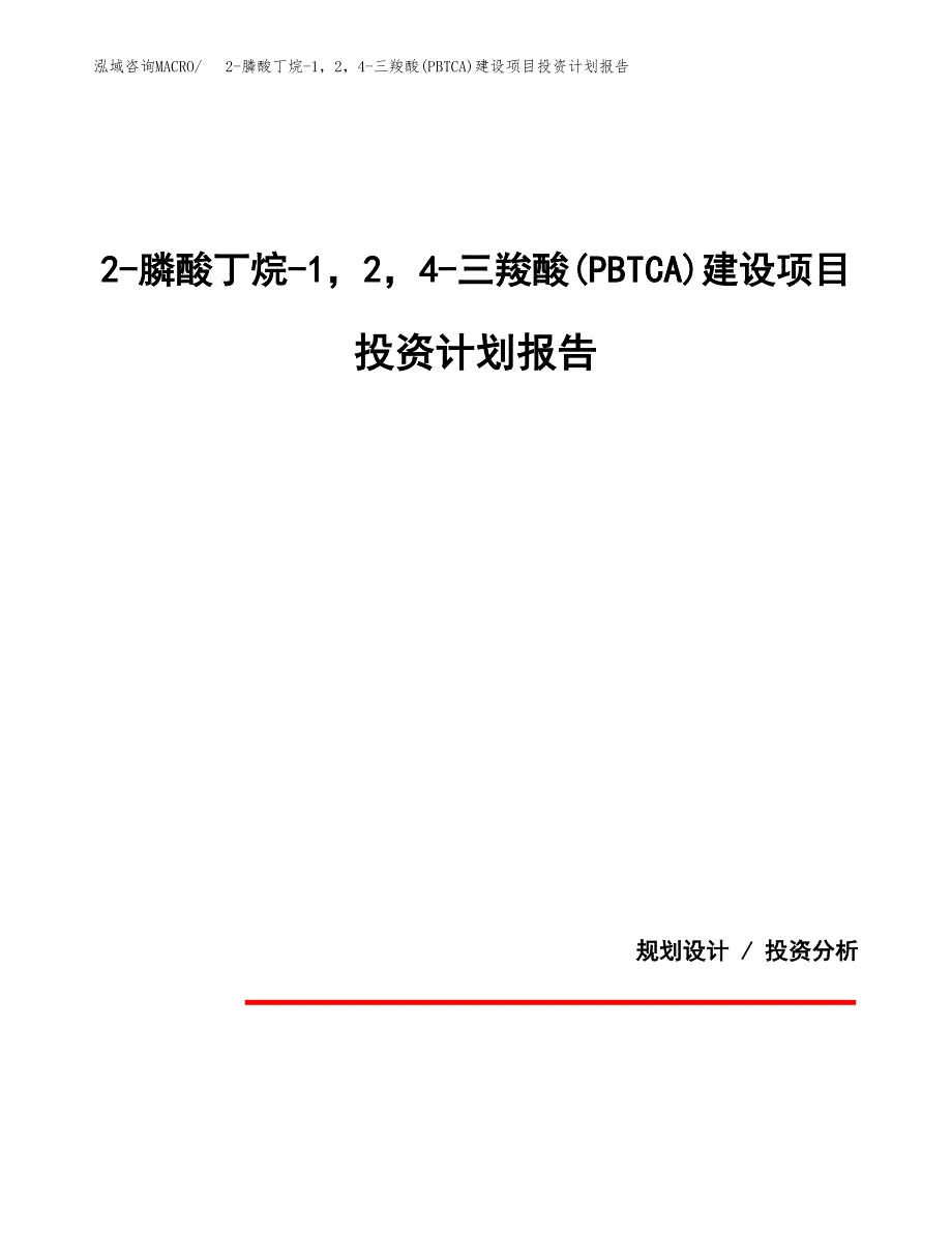 2-膦酸丁烷-1，2，4-三羧酸(PBTCA)建设项目投资计划报告.docx_第1页