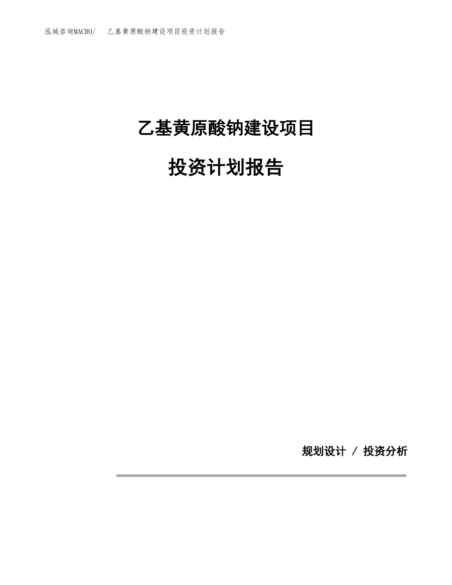 乙基黄原酸钠建设项目投资计划报告.docx_第1页