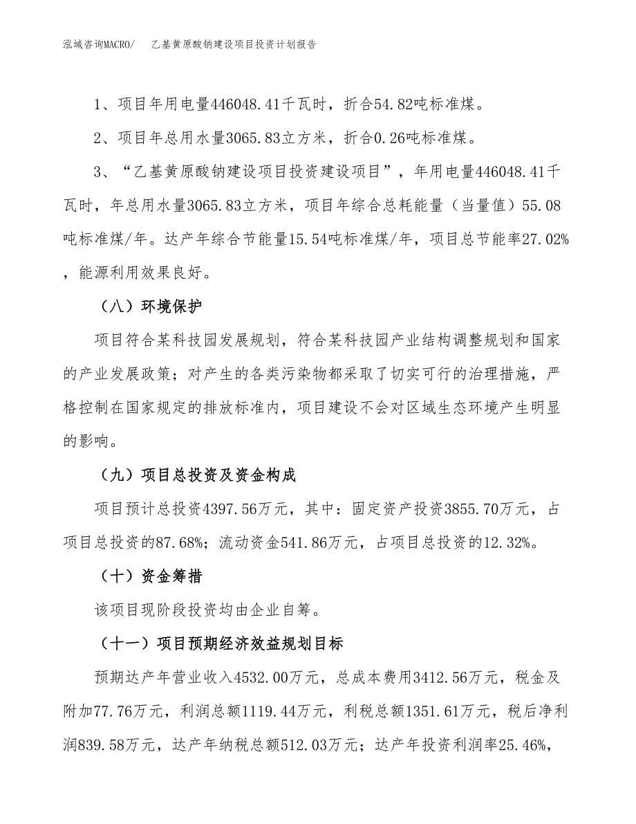 乙基黄原酸钠建设项目投资计划报告.docx_第5页