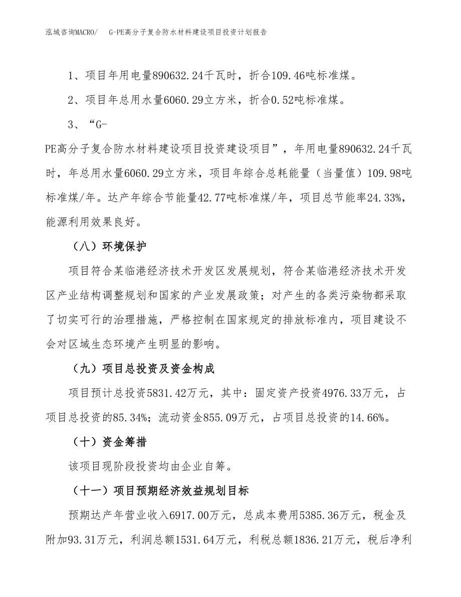 G-PE高分子复合防水材料建设项目投资计划报告.docx_第5页