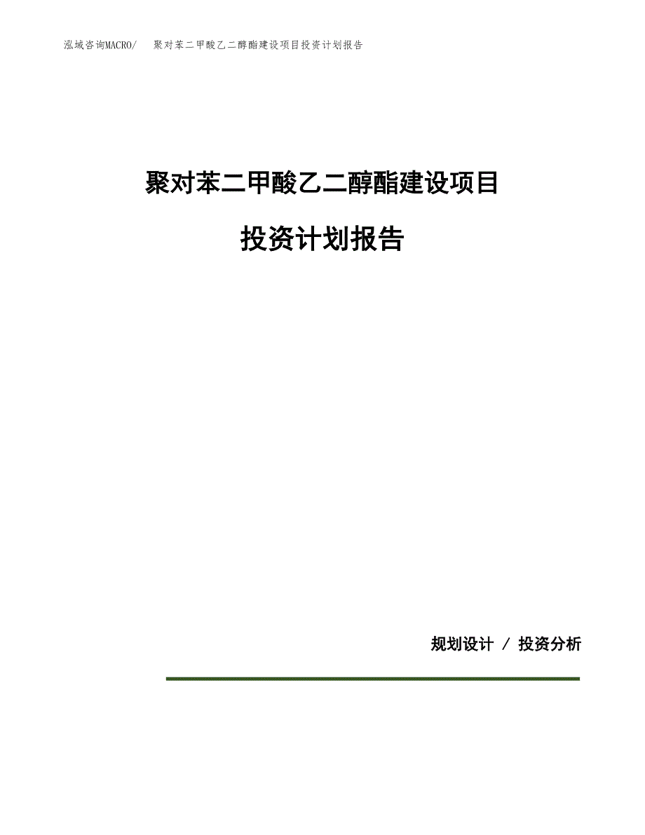 聚对苯二甲酸乙二醇酯建设项目投资计划报告.docx_第1页