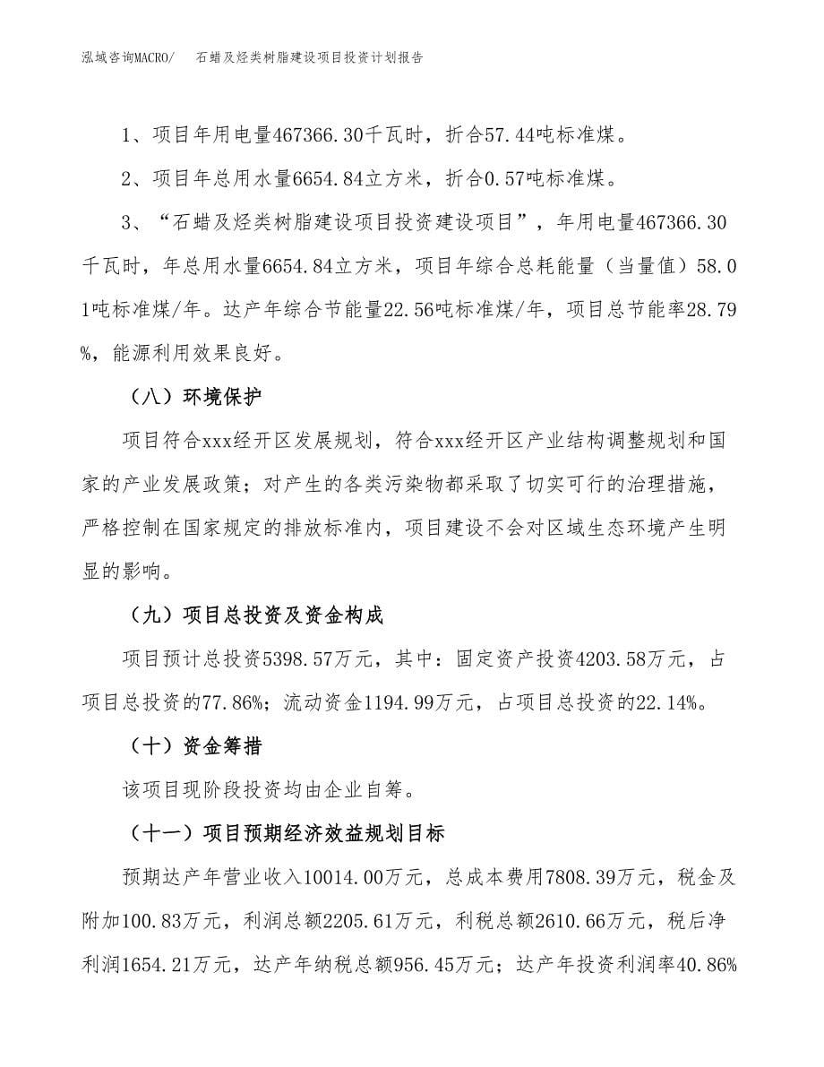 石蜡及烃类树脂建设项目投资计划报告.docx_第5页