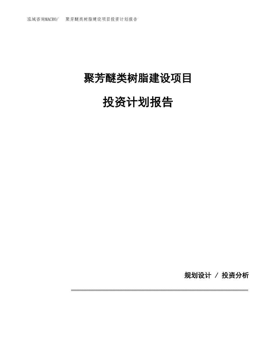 聚芳醚类树脂建设项目投资计划报告.docx_第1页