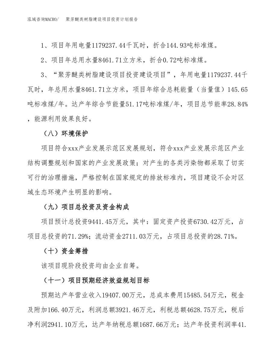 聚芳醚类树脂建设项目投资计划报告.docx_第5页