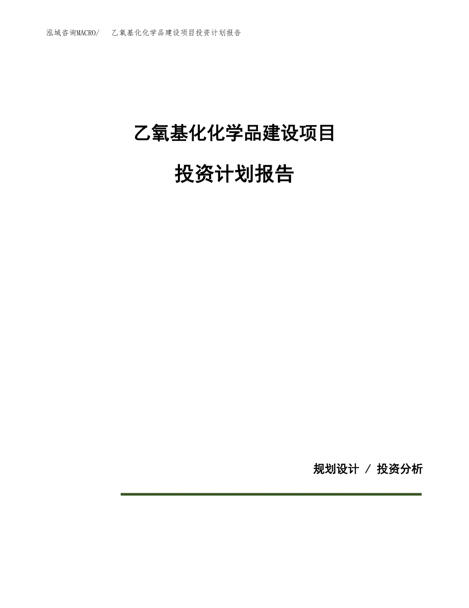乙氧基化化学品建设项目投资计划报告.docx_第1页