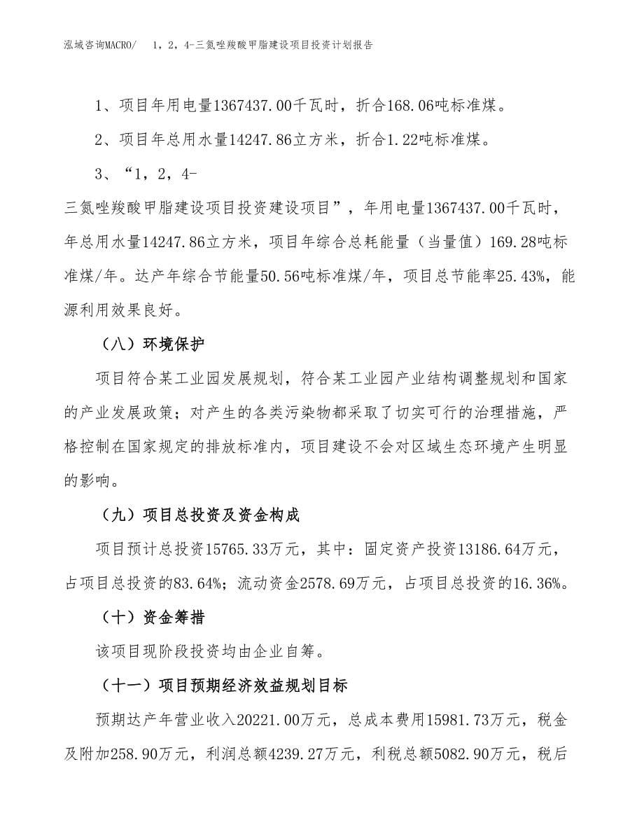 1，2，4-三氮唑羧酸甲脂建设项目投资计划报告.docx_第5页