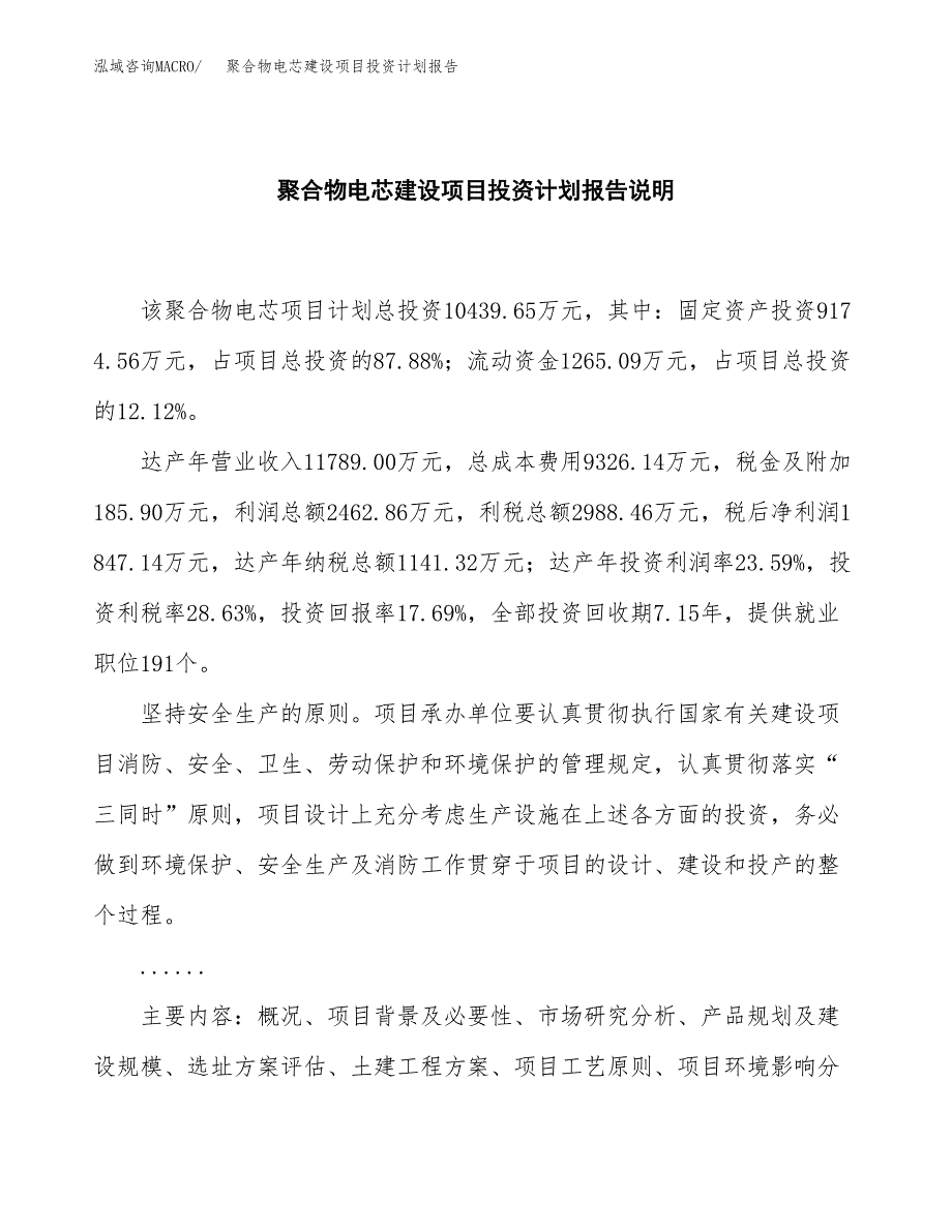 聚合物电芯建设项目投资计划报告.docx_第2页