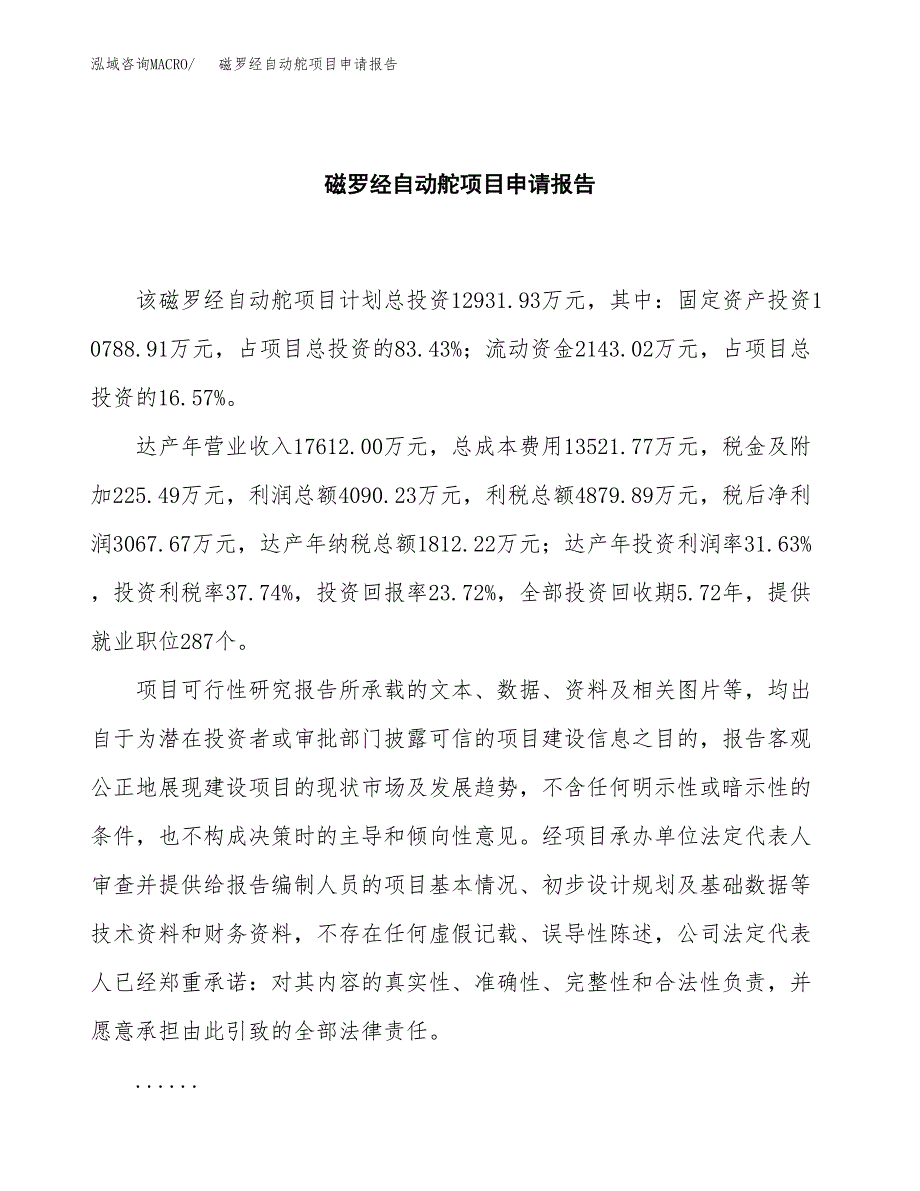 磁罗经自动舵项目申请报告（59亩）.docx_第2页