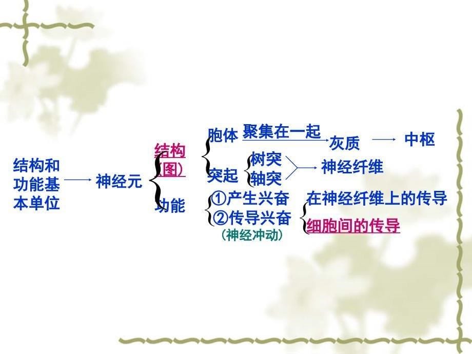 人教版教学课程21通过神经系统调节必修3_第5页