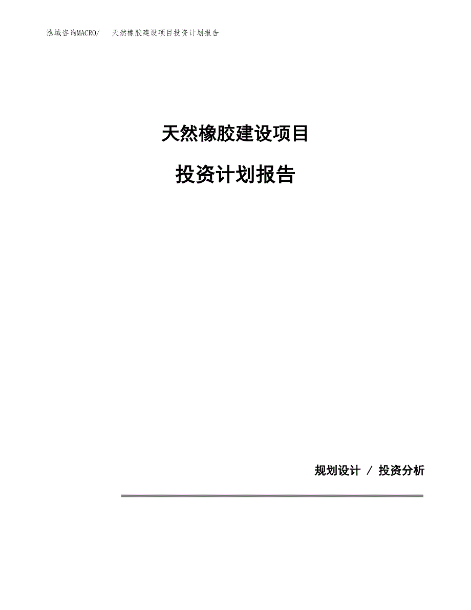 天然橡胶建设项目投资计划报告.docx_第1页