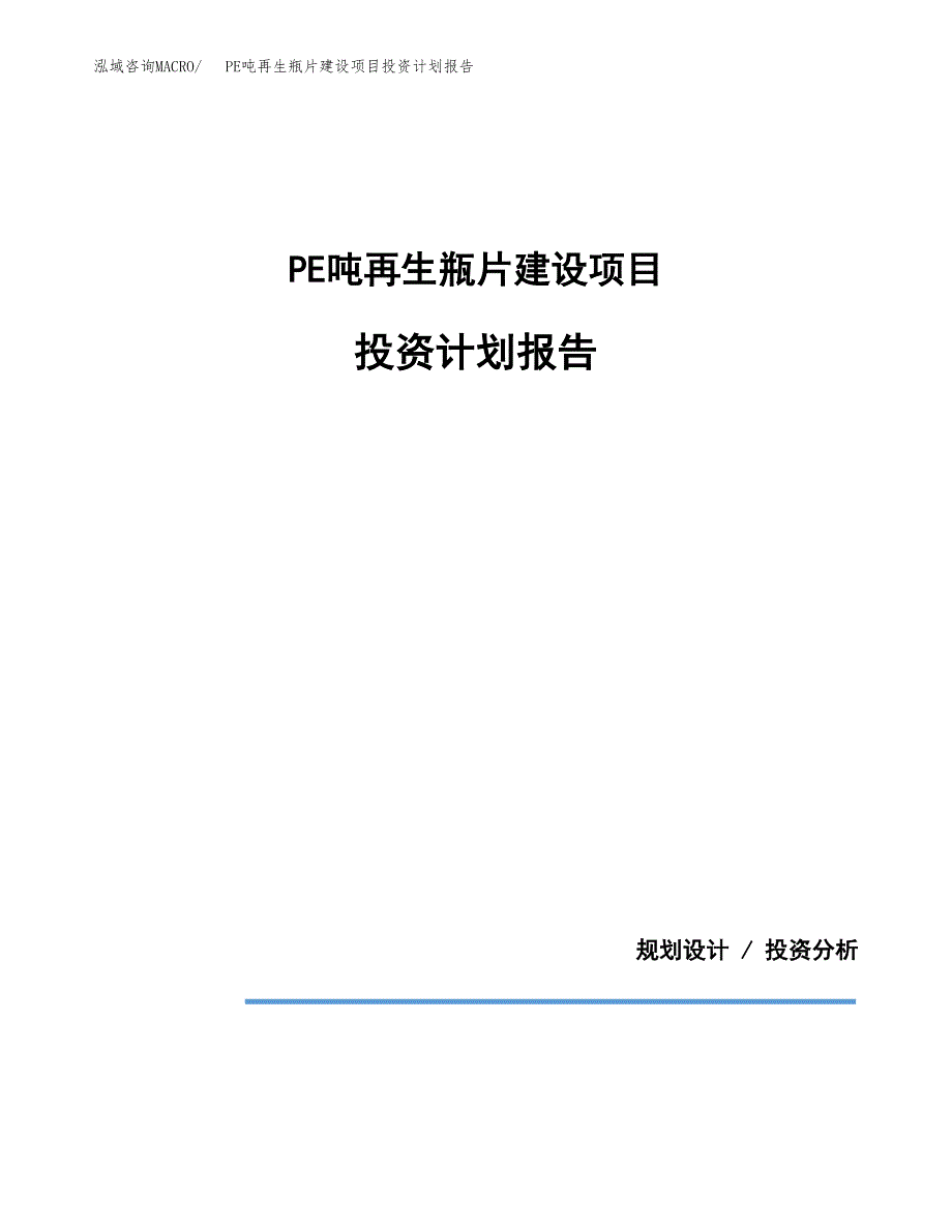 PE吨再生瓶片建设项目投资计划报告.docx_第1页