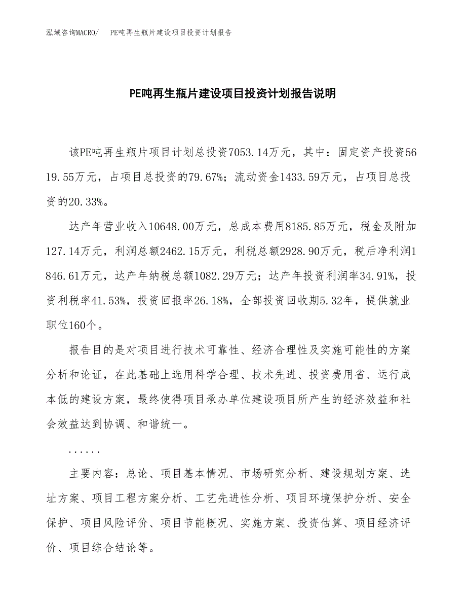 PE吨再生瓶片建设项目投资计划报告.docx_第2页