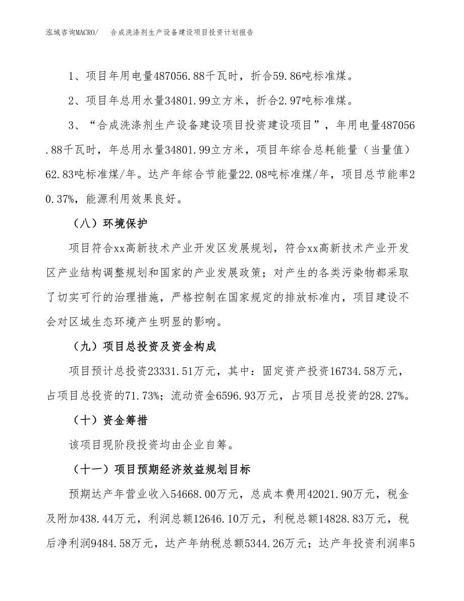 合成洗涤剂生产设备建设项目投资计划报告.docx_第5页