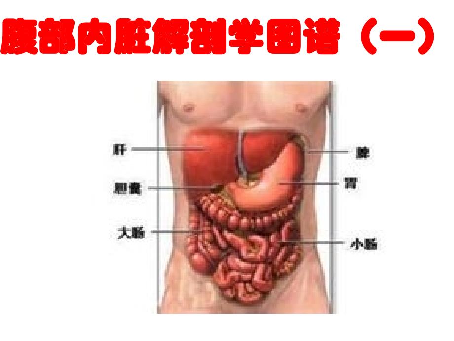 普外科专科培训新入科护士_第4页