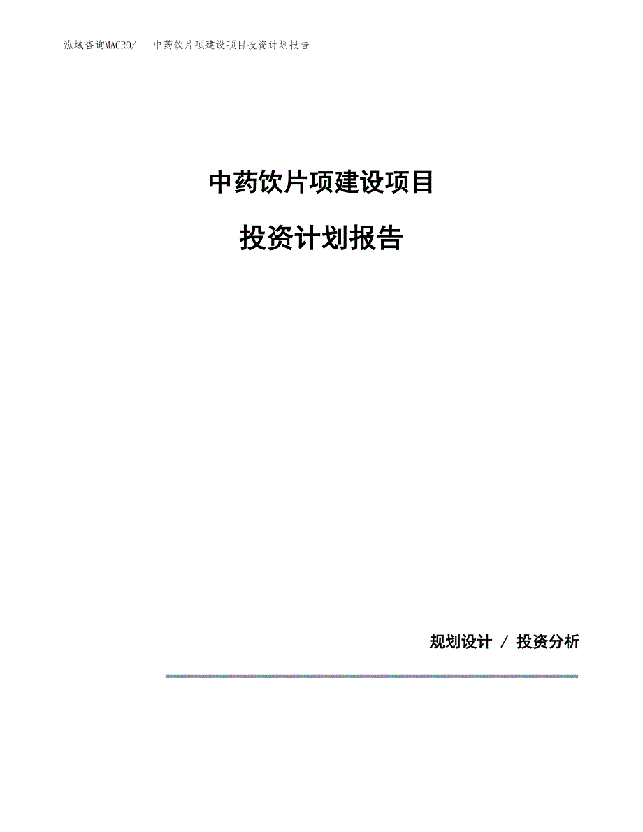 中药饮片项建设项目投资计划报告.docx_第1页