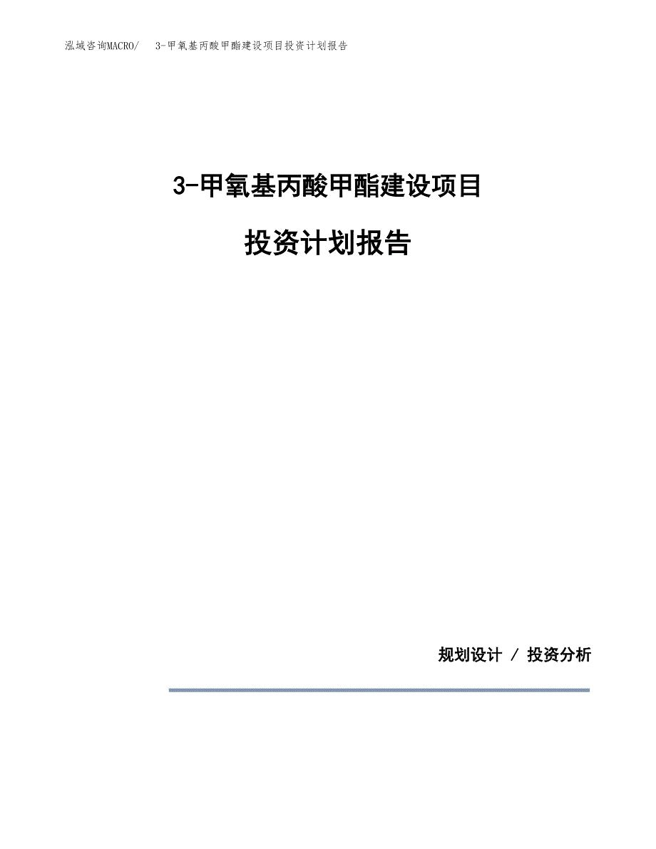 3-甲氧基丙酸甲酯建设项目投资计划报告.docx_第1页